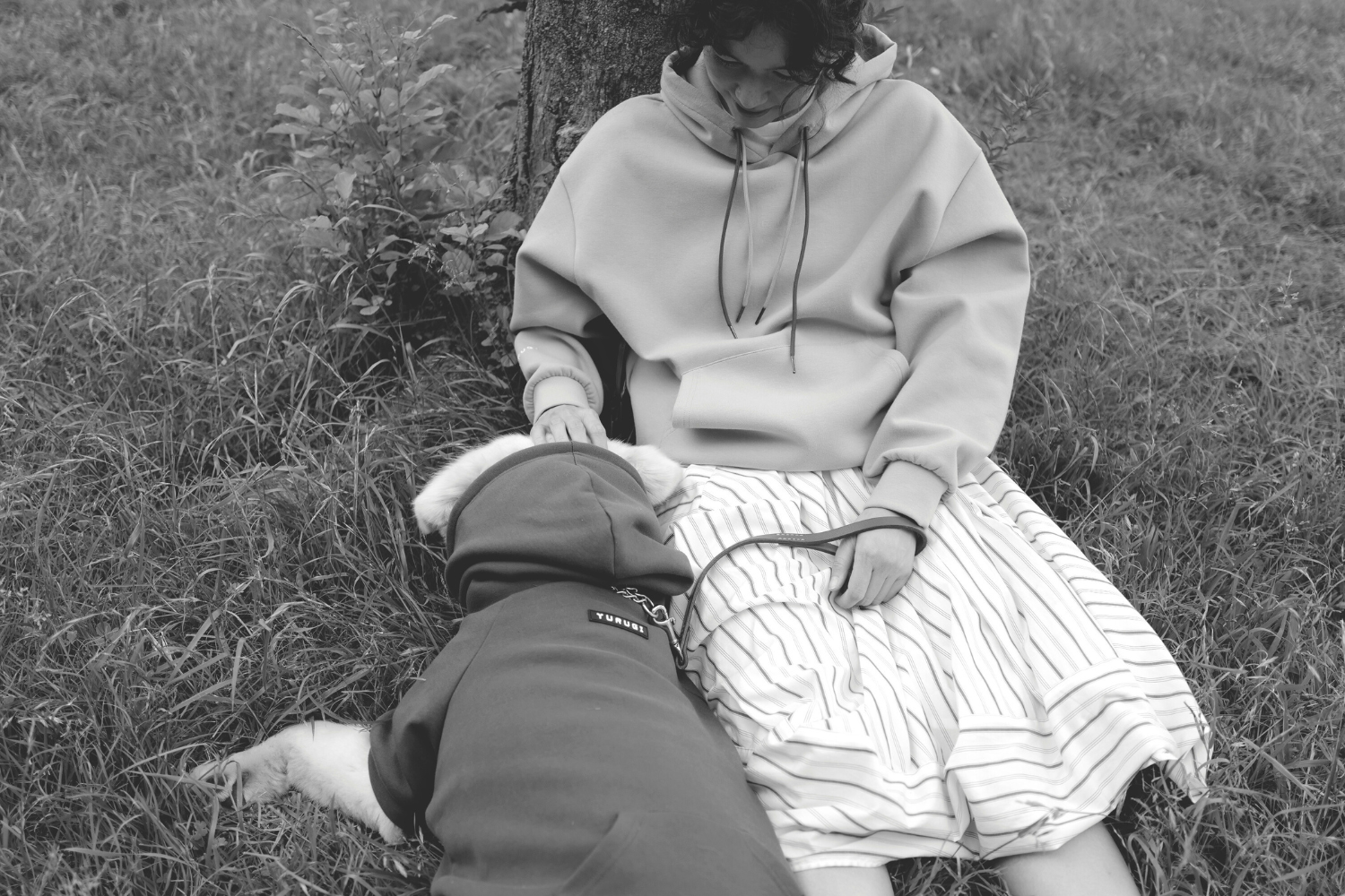 また、会える日を夢みて。